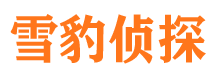 西塞山市婚姻调查